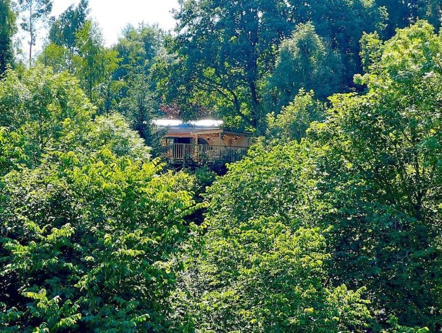 The Pines Treehouse At Treetops Hideouts Richmond  Exterior foto